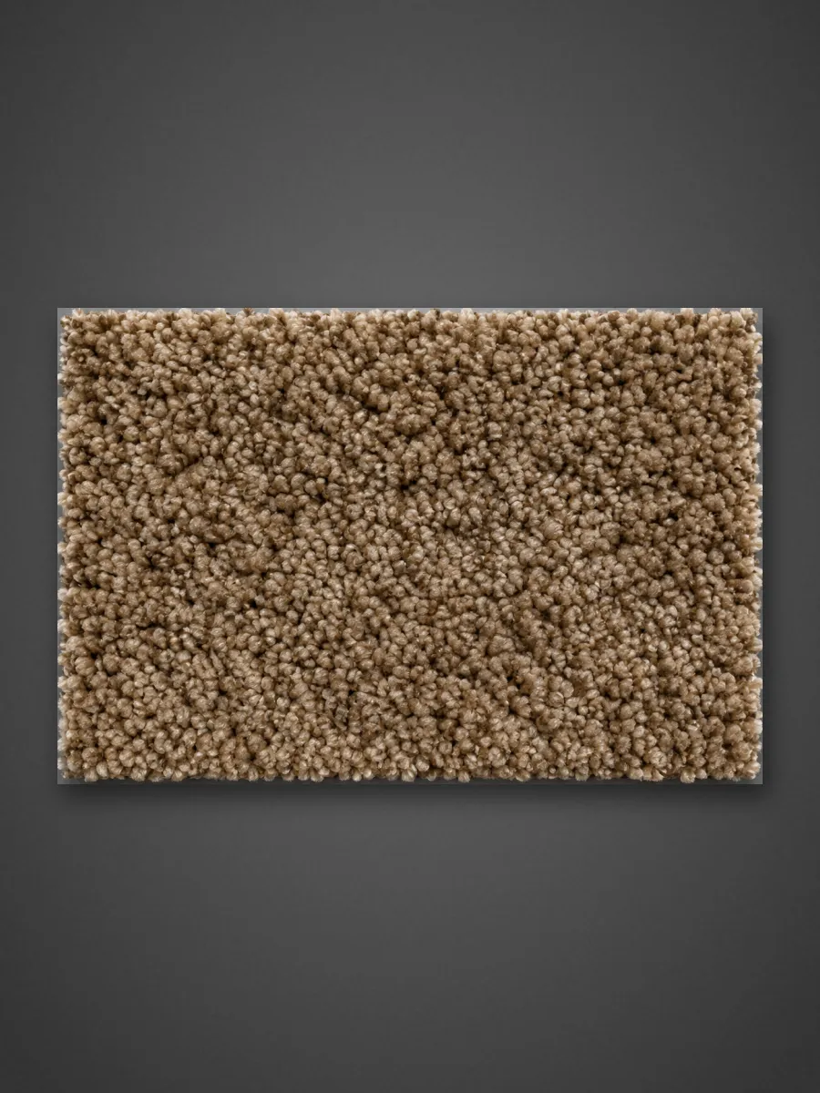 Inter 320 Carpet