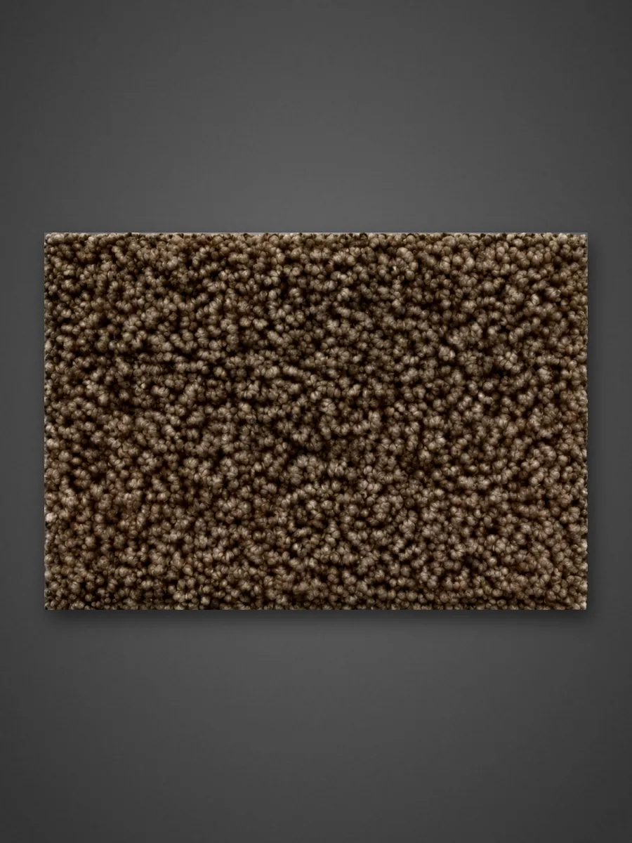 Sugar Land Carpet
